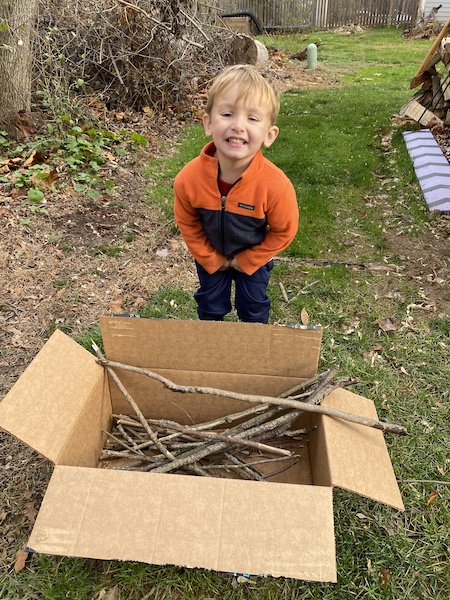 Nature craft collecting of sticks for tree