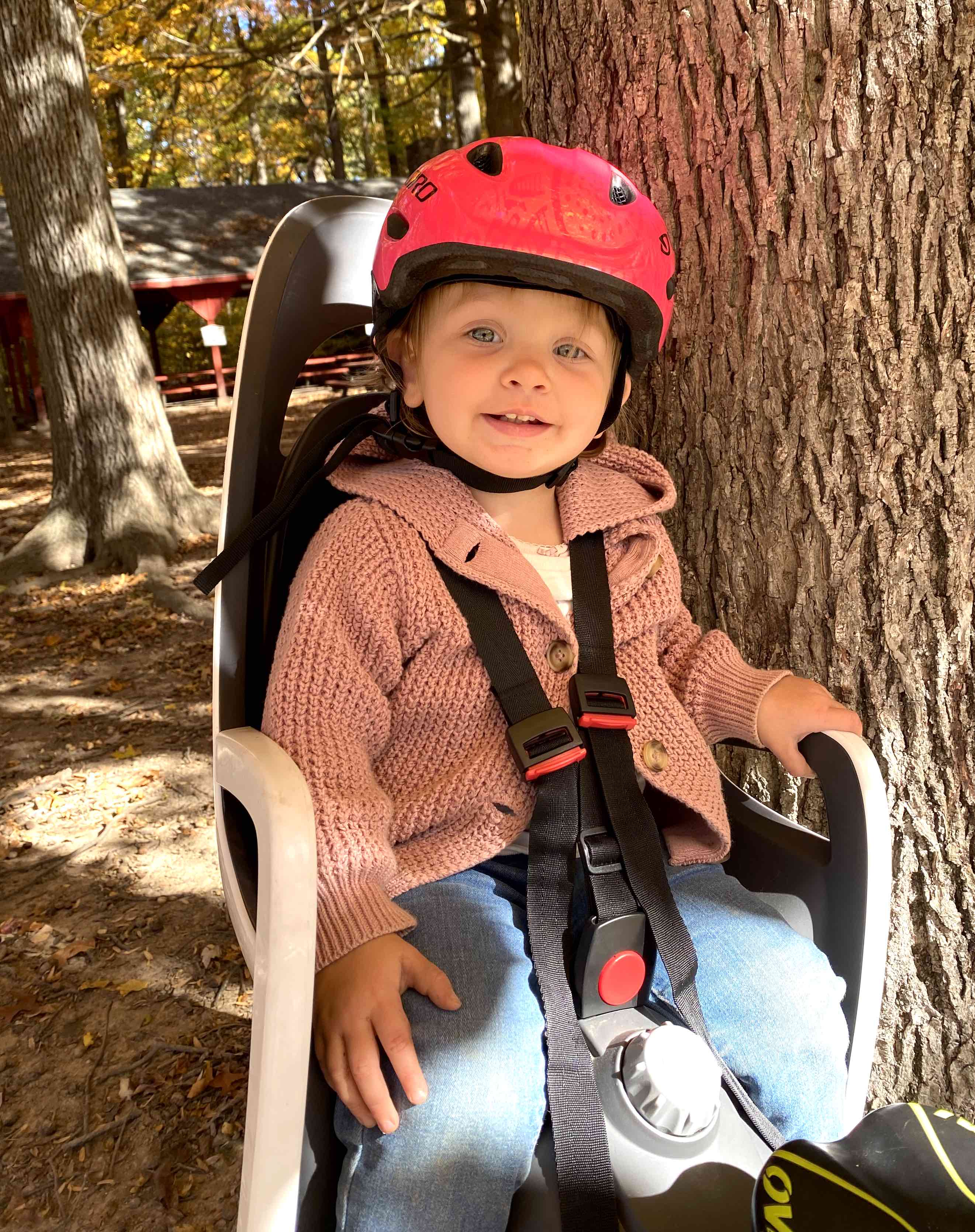 rear bike seat for toddler on mommy's bike
