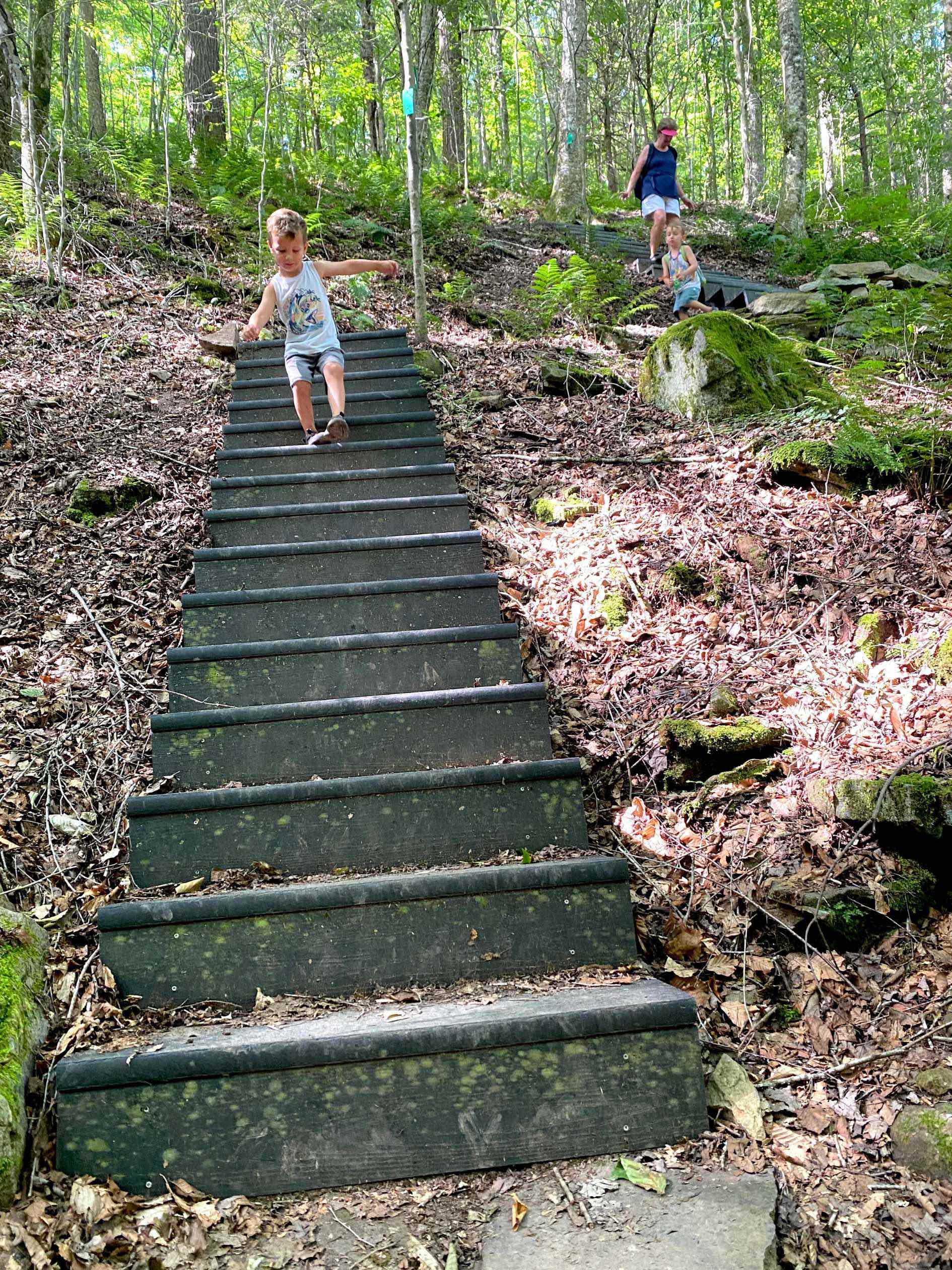 staircase on double nature trail hike