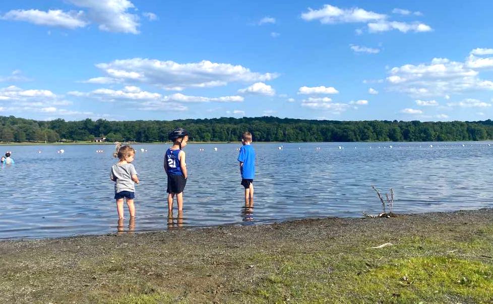 beach area at Gifford Pinchot State Park in PA