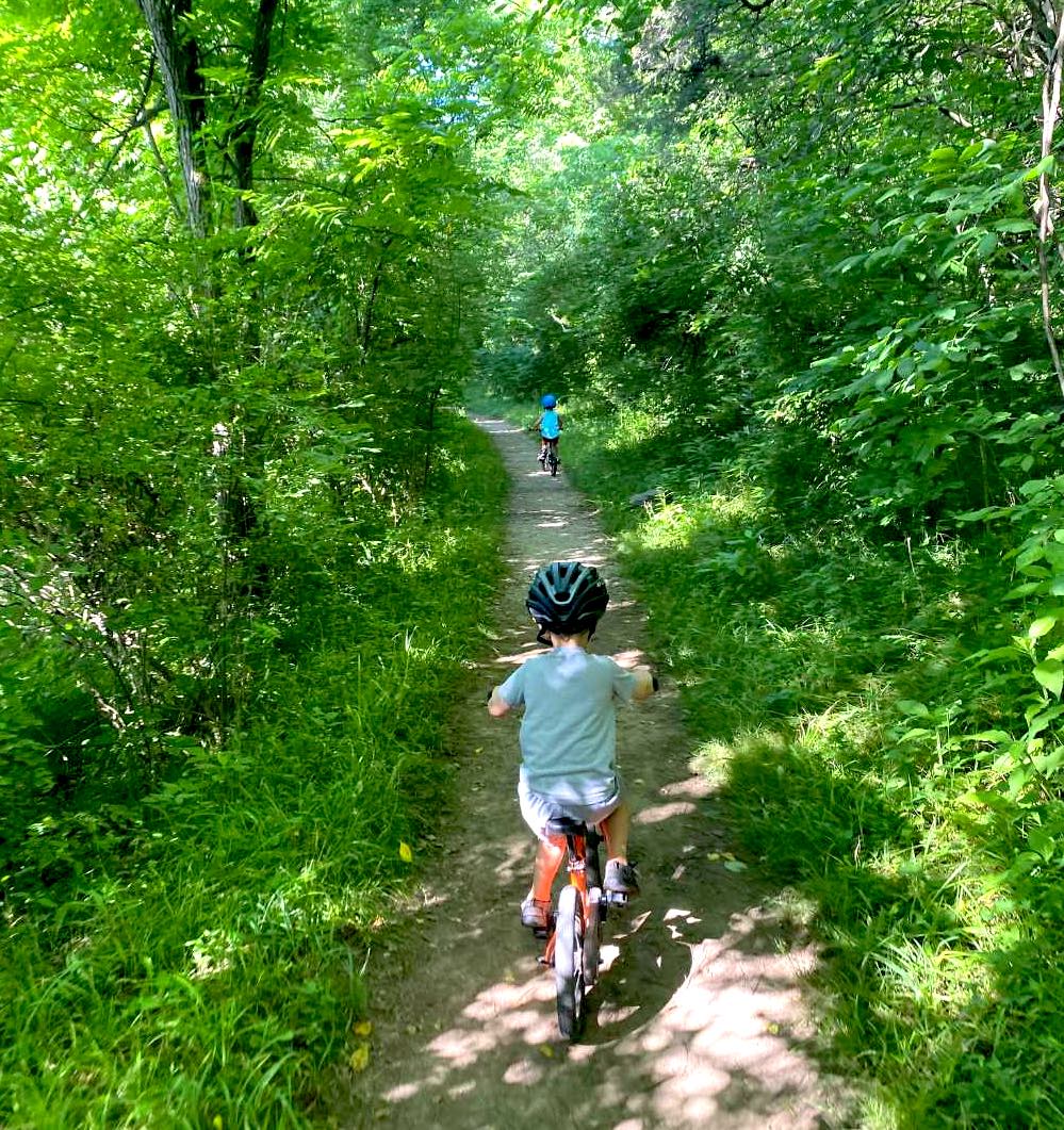 hiking trails at gifford pinchot state park things to do with kids