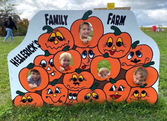 hellericks farm in bucks county with kids