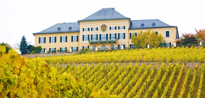 Schlossschänke auf dem Johannisberg