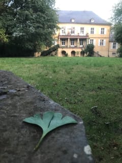 Schloss Bauschlott
