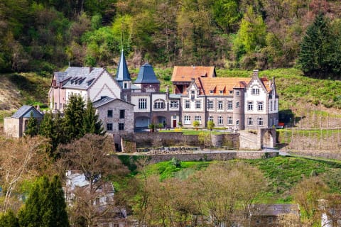 Burg Brohleck