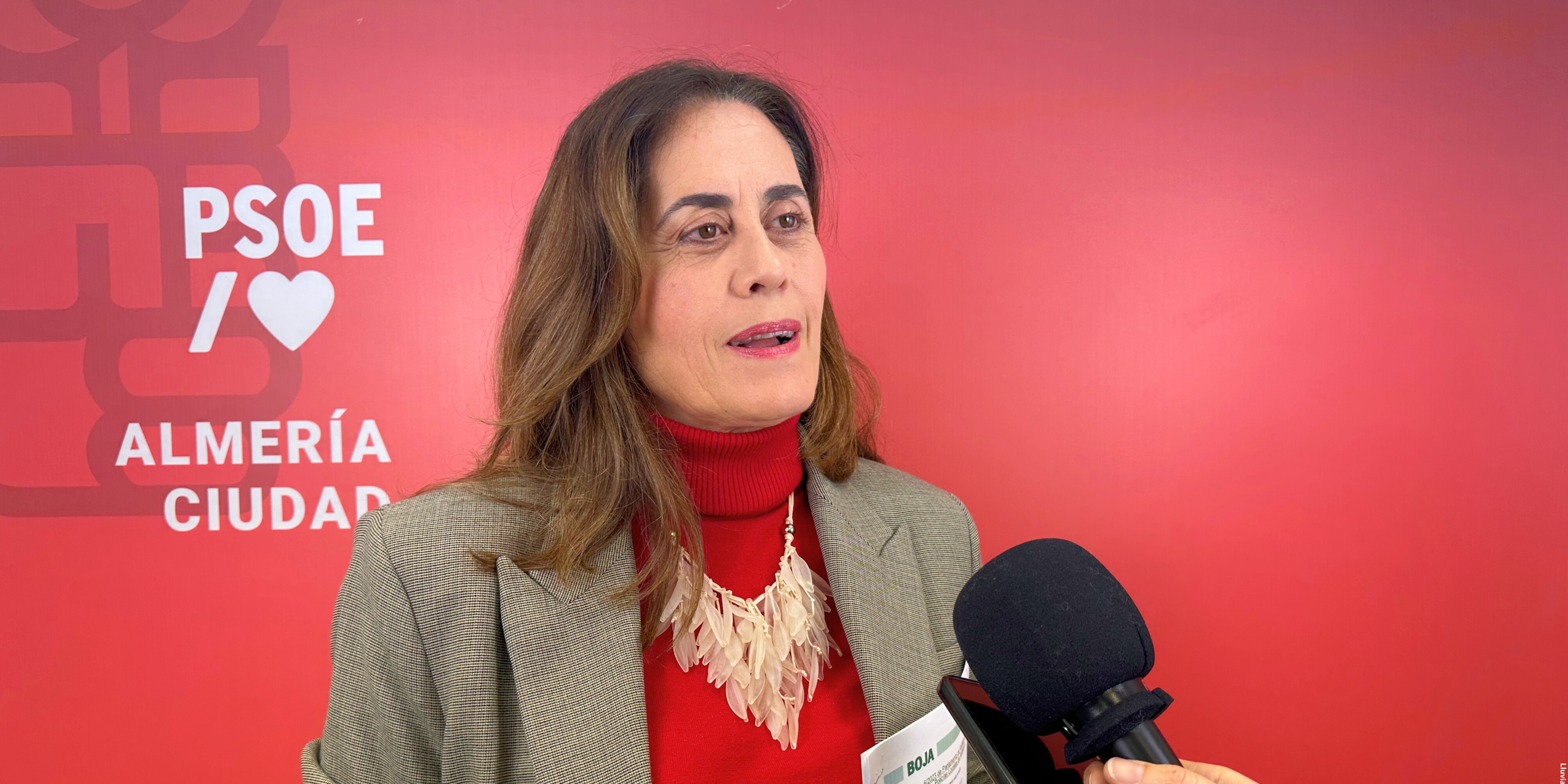El PSOE pide explicaciones a la alcaldesa ante las irregularidades en los nombramientos de puestos de responsabilidad del Ayuntamiento