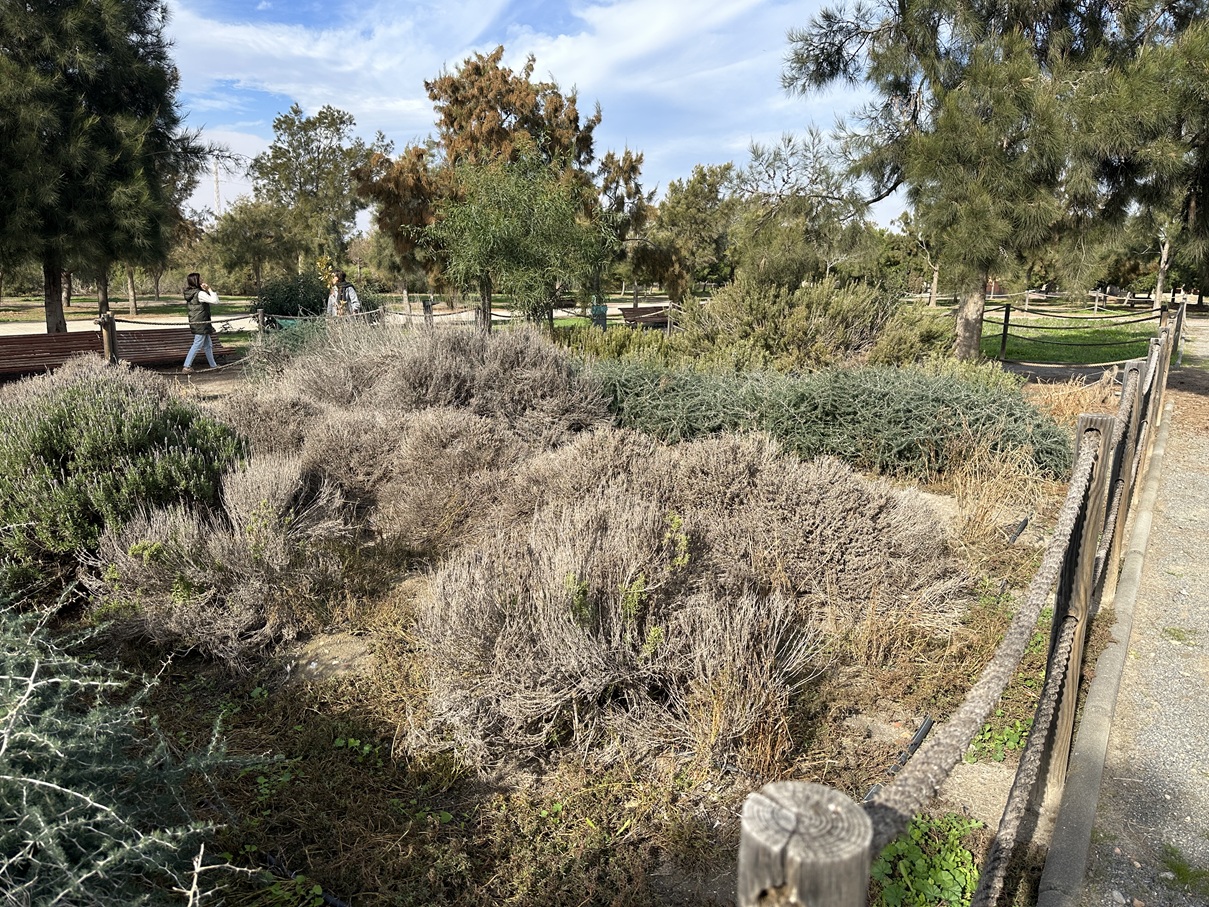 El parque del Andarax es un tesoro que el Ayuntamiento está dejando morir