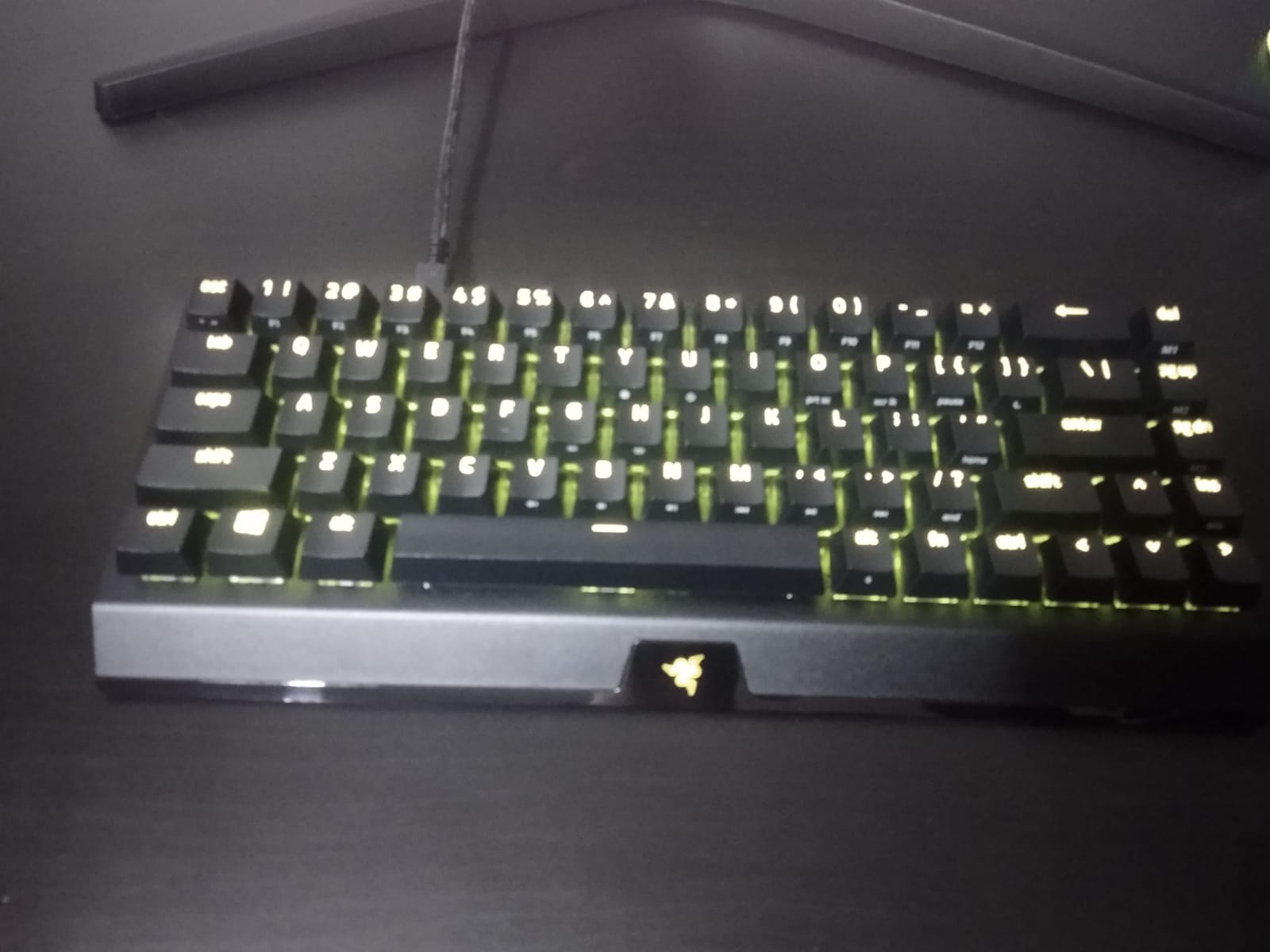 Razer Blackwidow v3 mini İnceleme Fotoğrafı