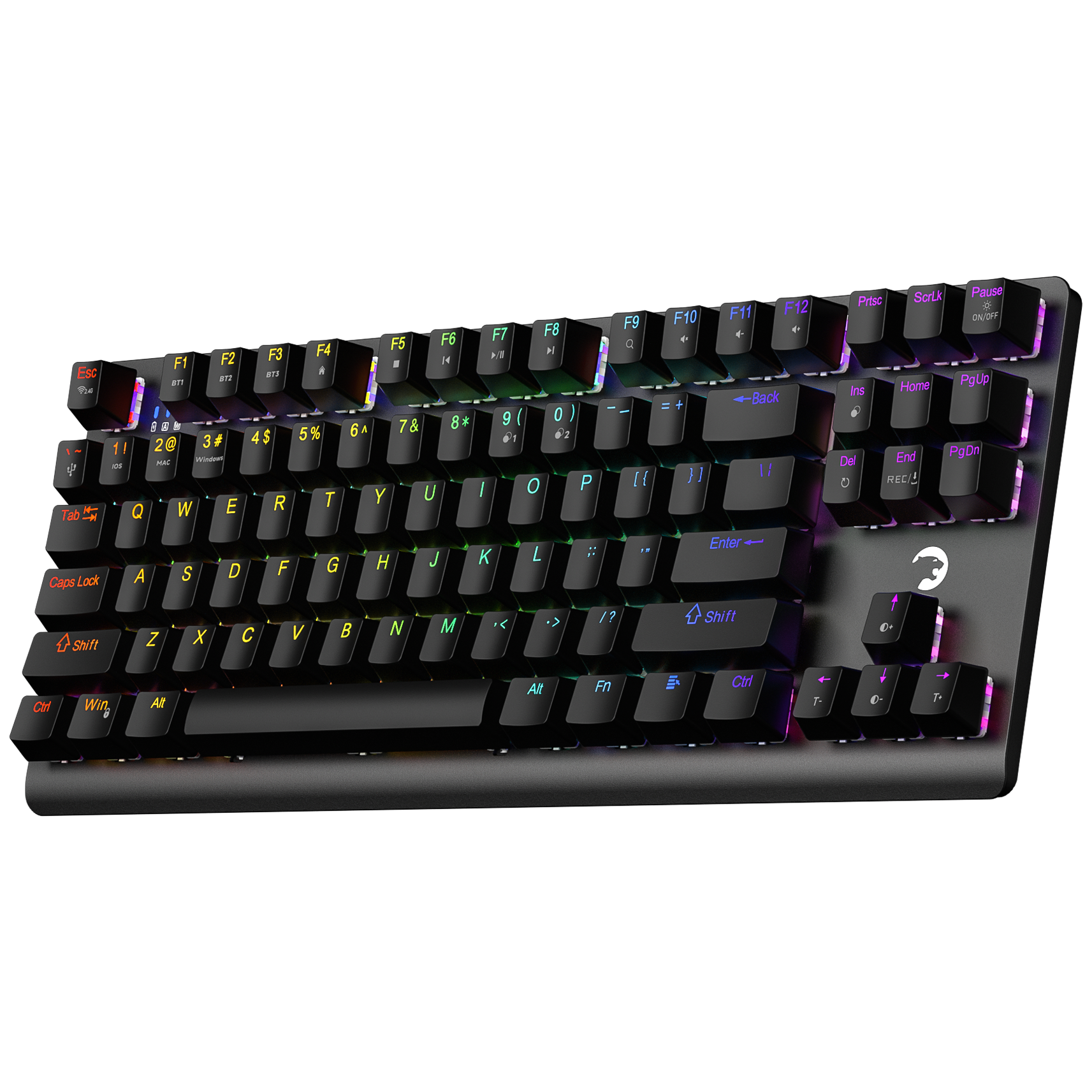 Gamepower Eva 7 Fotoğrafı