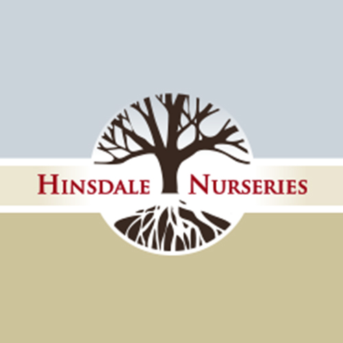 LILY OF THE VALLEY – Hinsdale Nurseries – Welcome to Hinsdale Nurseries