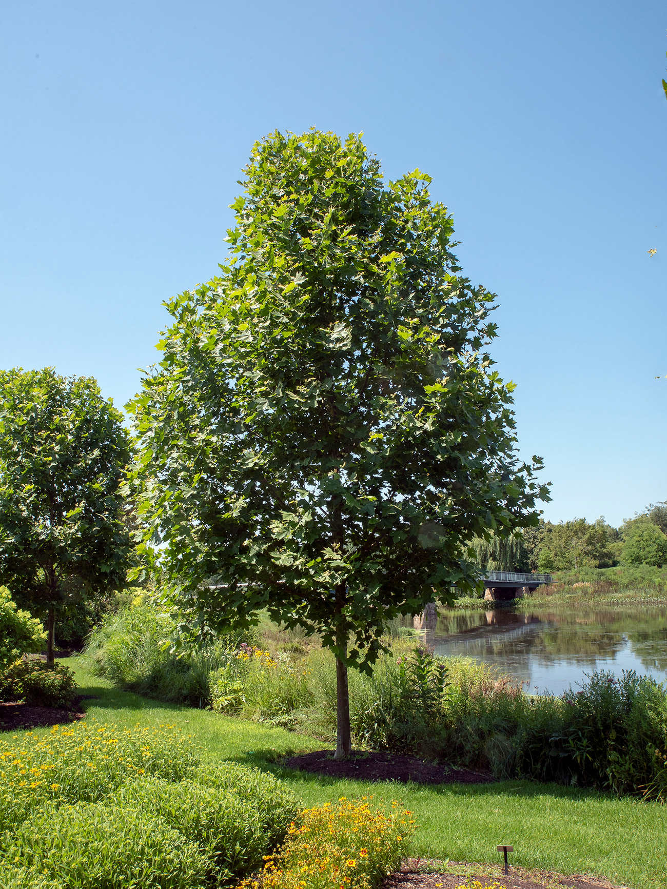 Landscapehub