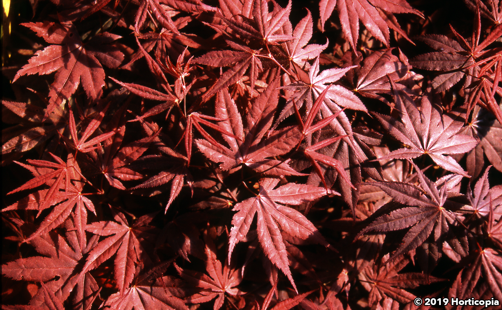 Landscapehub