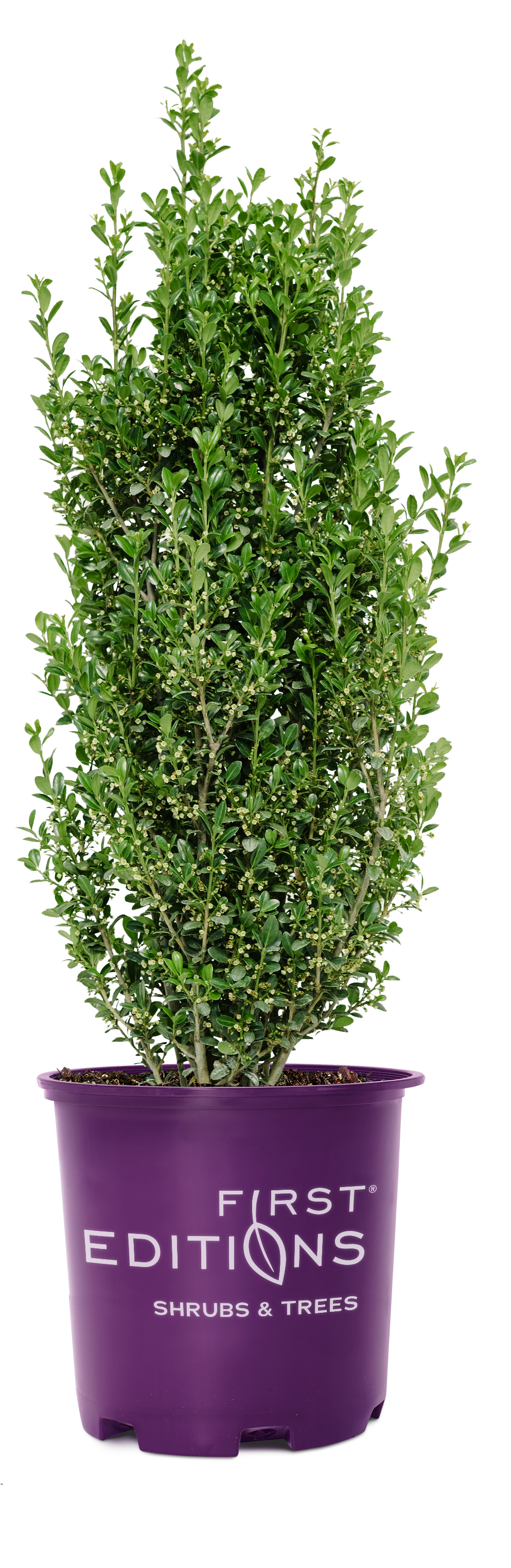 ce25854d-36a5-4fd7-b8c5-