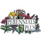 Perennials Plus