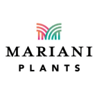 Mariani Plants