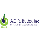 A.D.R Bulbs