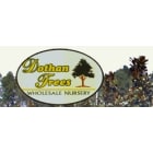 Dothan Trees