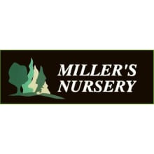 Miller's Nursery - Verona, WI Logo
