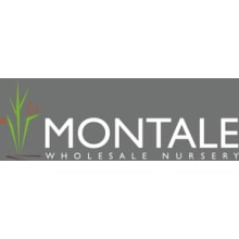 Montale Gardens Logo