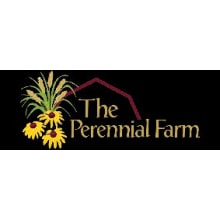 The Perennial Farm Logo