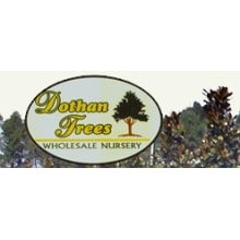 Dothan Trees Logo