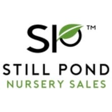 Still Pond Nursery Sales Logo