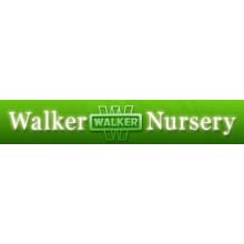 Walker Nursery Co. Logo