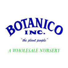 Botanico, Inc. Logo