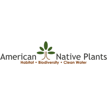 American Native Plants Logo