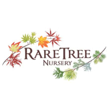 Rare Tree Nursery Logo