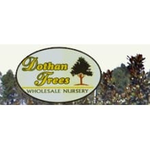 Dothan Trees Logo