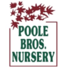 Poole Brothers Nursery Logo