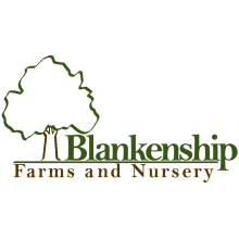 Blankenship Farms and Nursery Logo