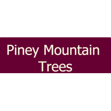 Piney Mountain Trees Logo
