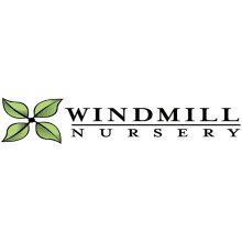 Windmill Nursery Logo