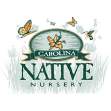 Carolina Native Nursery Logo
