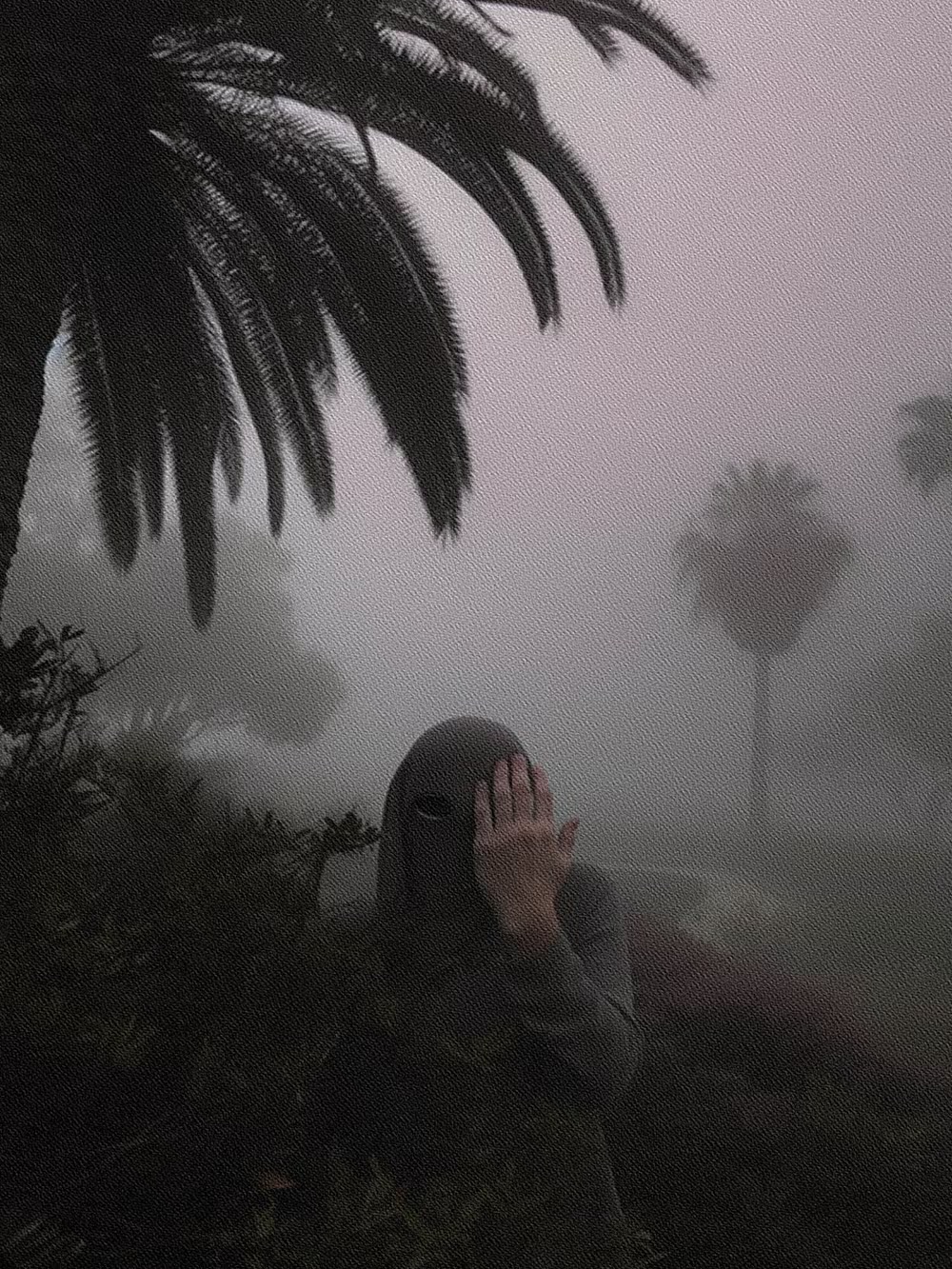 NFT_portfolio