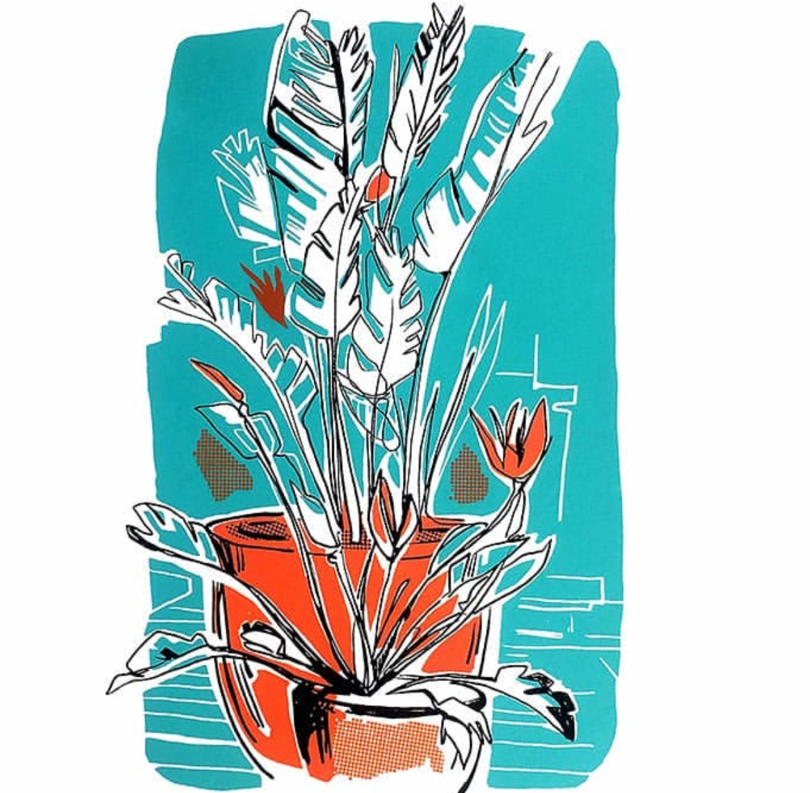 NFT_portfolio