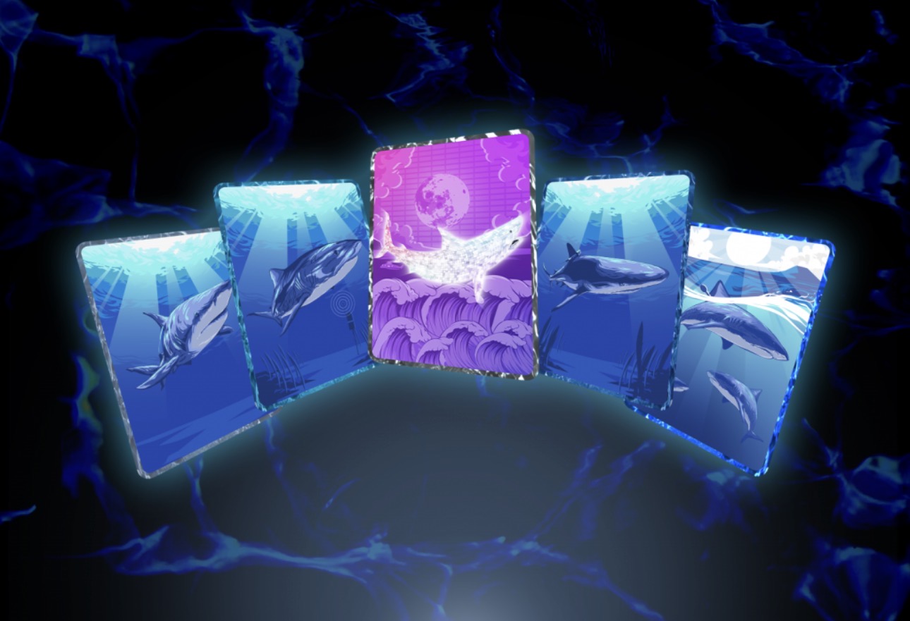 NFT_portfolio