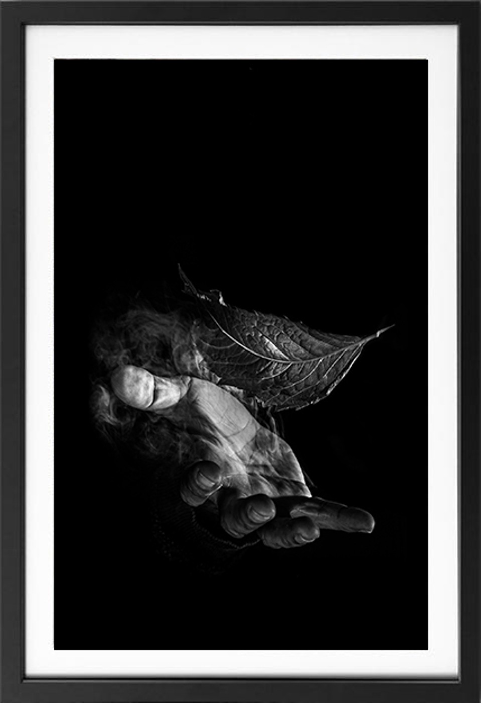 NFT_portfolio