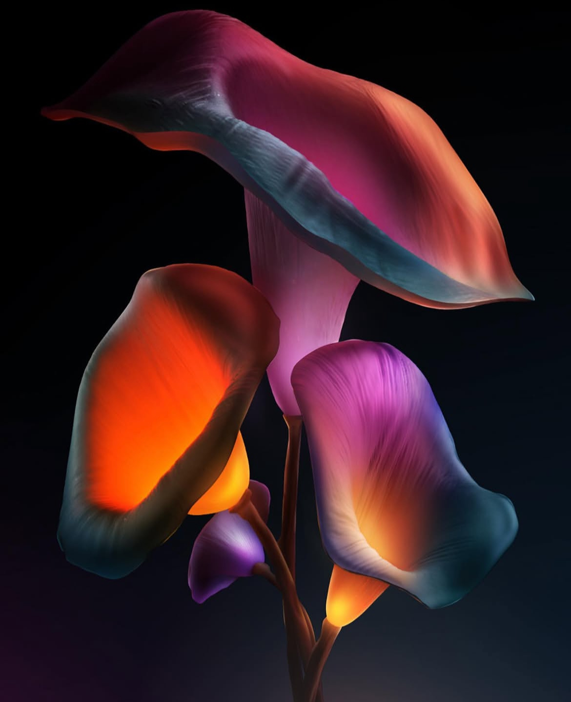 NFT_portfolio