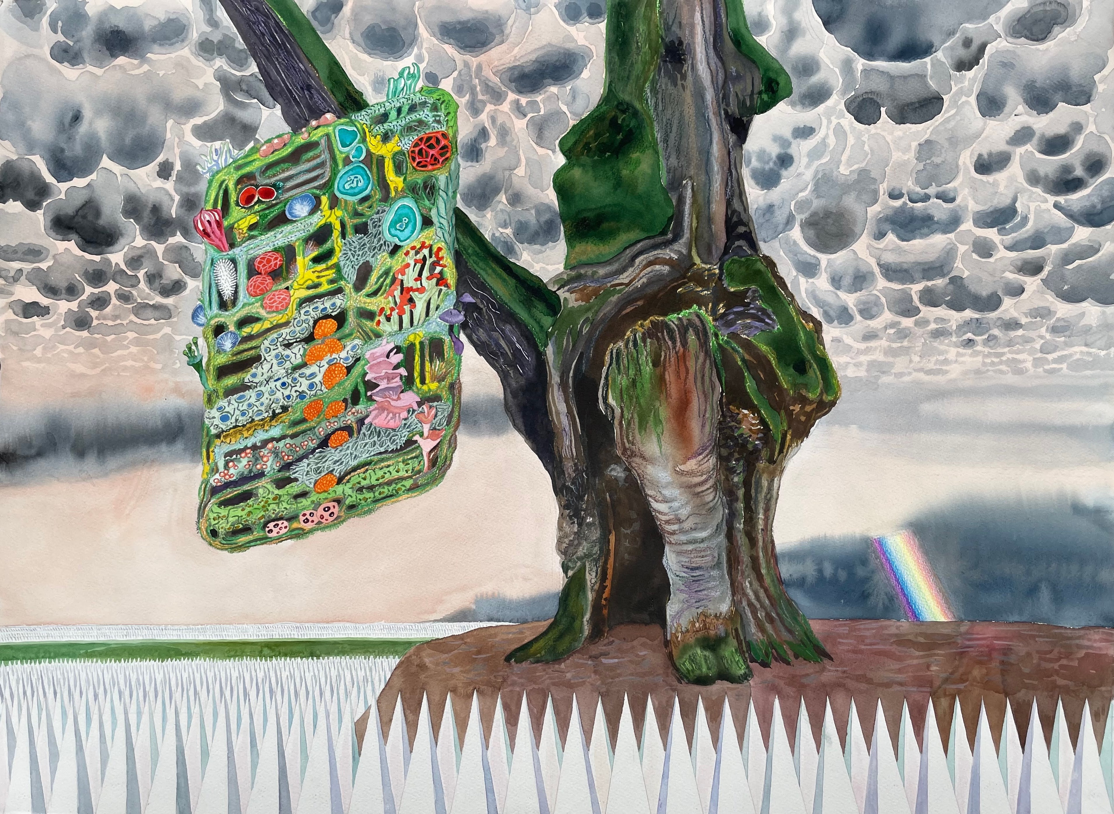 NFT_portfolio