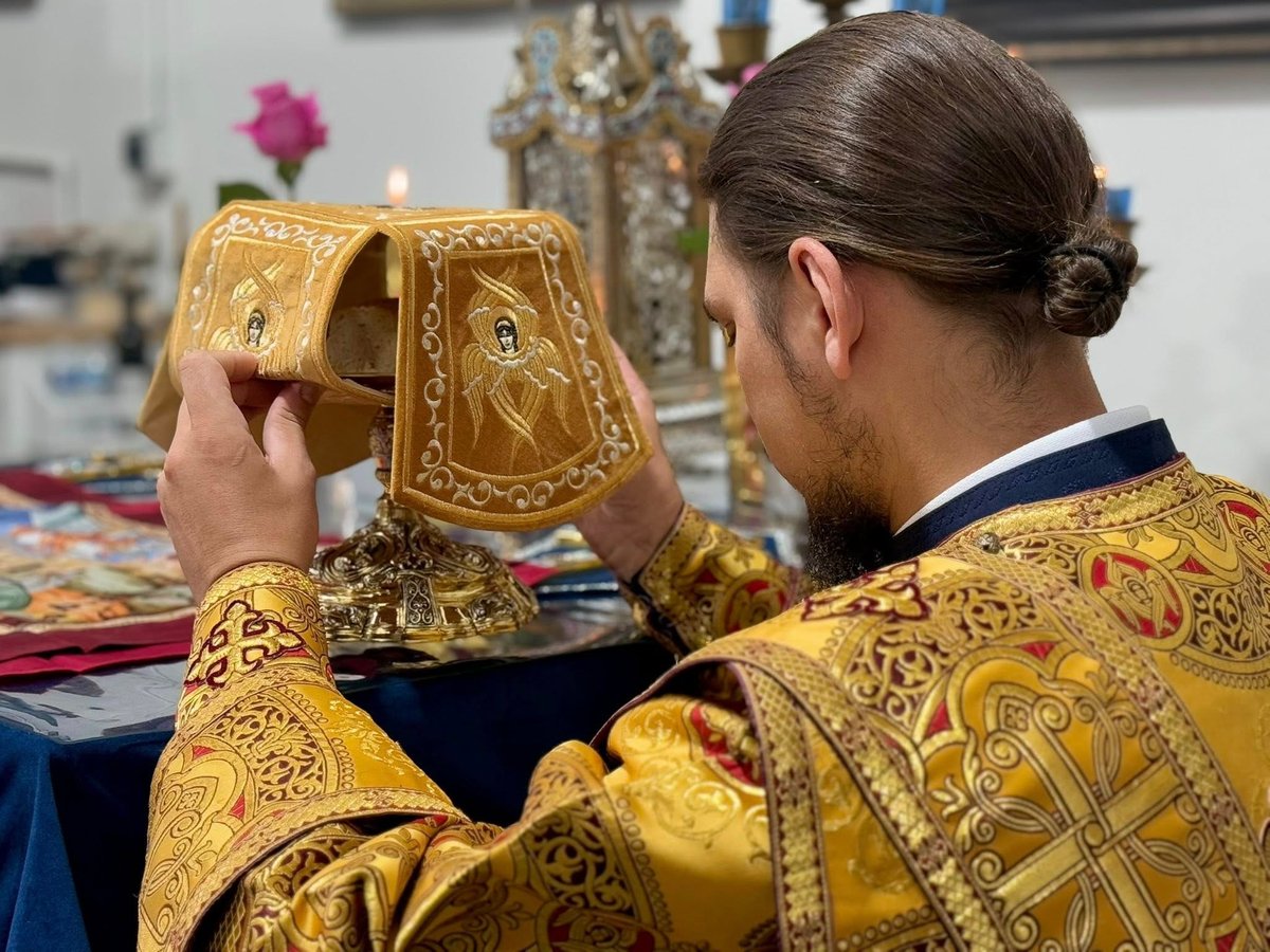 Embroidered Velvet Chalice Covers Set - Dark Gold