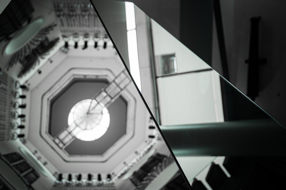 A detailed conceptual diagram (4:3) showing different layers of soil with heavy metal and petroleum contaminants being broken down by microorganisms and the roots of a triticale plant. Include visual elements representing drought stress and salinity, with a scientific, clean aesthetic. - Photo by Daniel Nouri on Pexels