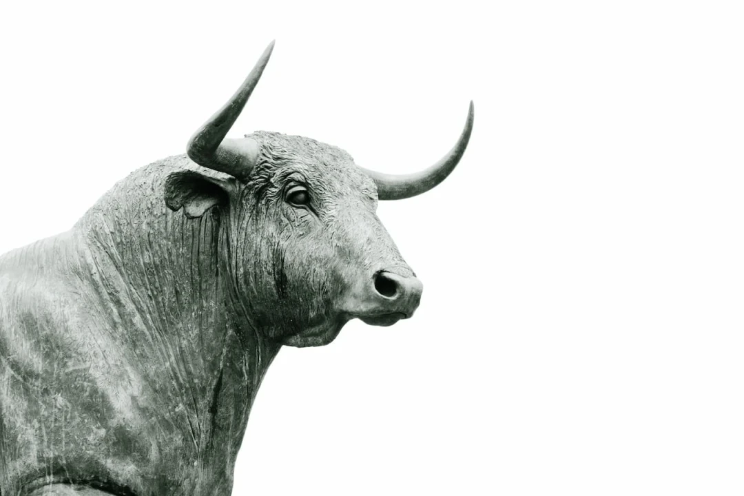 Cover image of 'Crypto & the fear of missing out'