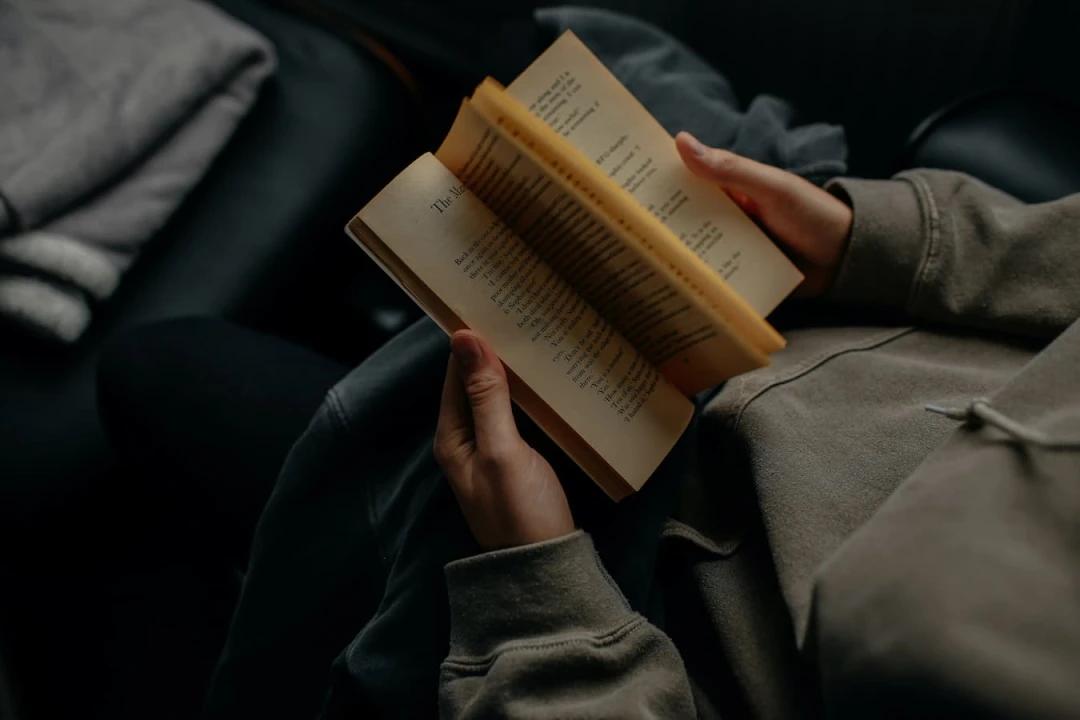 Cover image of 'Books I read in 2022'