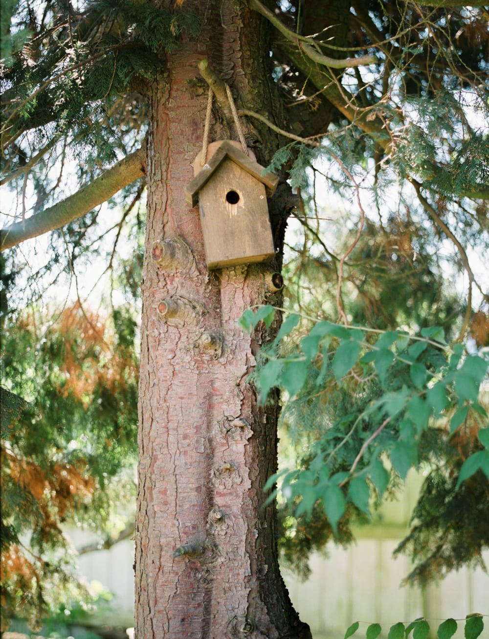 Joakim × Anna — Bröllopsfotograf och familjefotograf i Skåne och på Bjäre — Familjefotografering  i hemmet, image 7