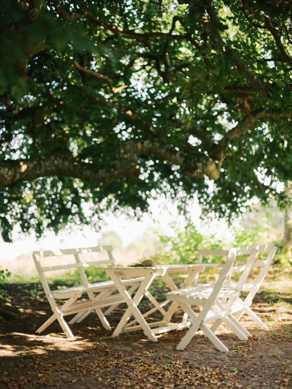 Joakim × Anna — Bröllopsfotograf och familjefotograf i Skåne och på Bjäre — Familjefotografering vid Östarp, image 44
