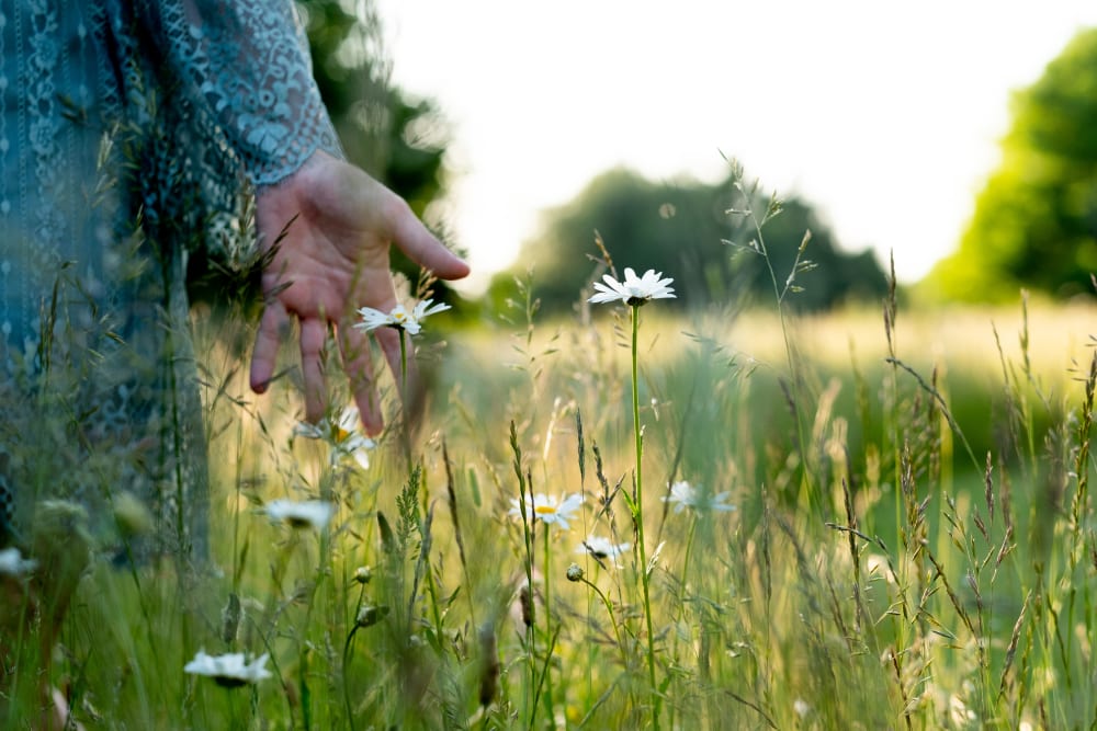 Joakim × Anna — Bröllopsfotograf och familjefotograf i Skåne och på Bjäre — Porträttfotografering i Milleniskogen, image 10