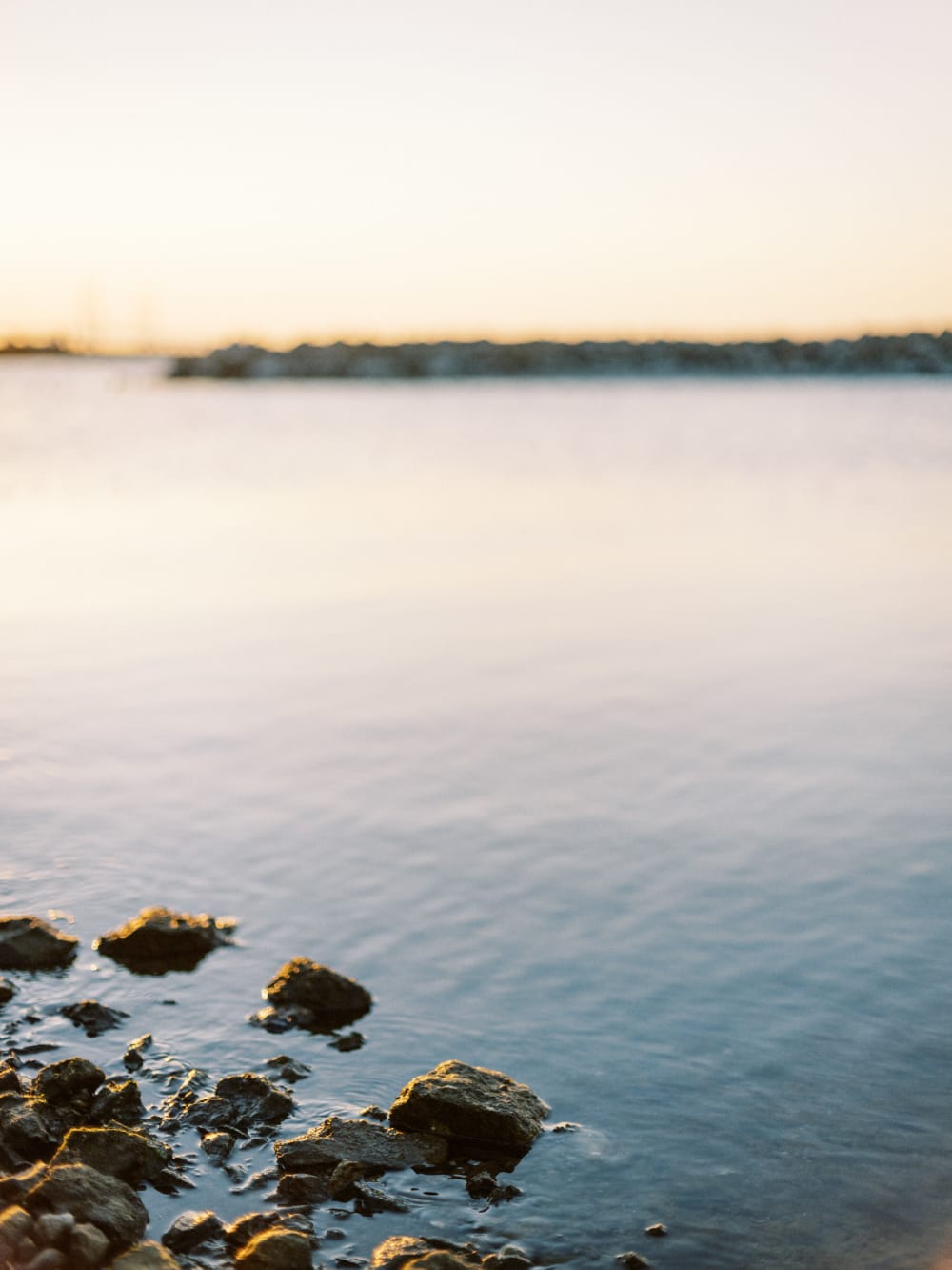 Joakim × Anna — Bröllopsfotograf och familjefotograf i Skåne och på Bjäre — Porträttfotografering vid havet, image 27